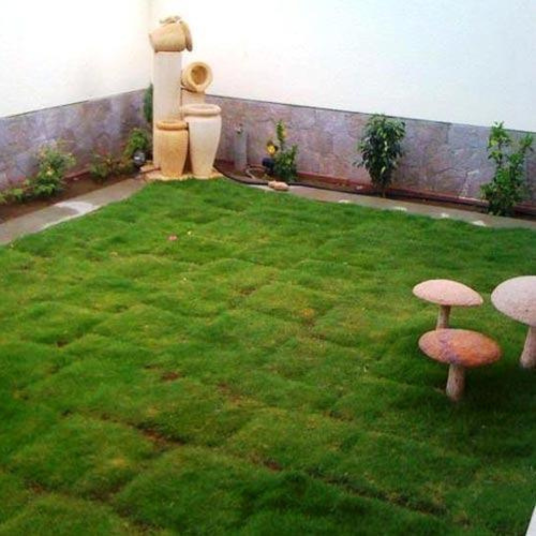 Stone Indoor